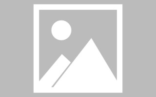 保定网页设计英文默认字体（网页设置英文转换中文）